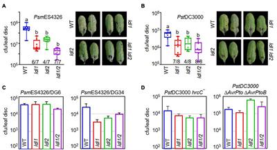 Two Arabidopsis Homologs of Human Lysine-Specific Demethylase Function in Epigenetic Regulation of Plant Defense Responses